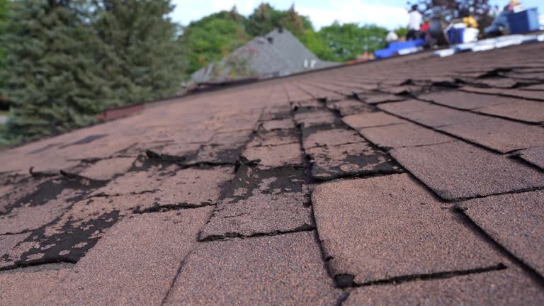 Best Skylight Installation and Repair  in Wyoming, DE