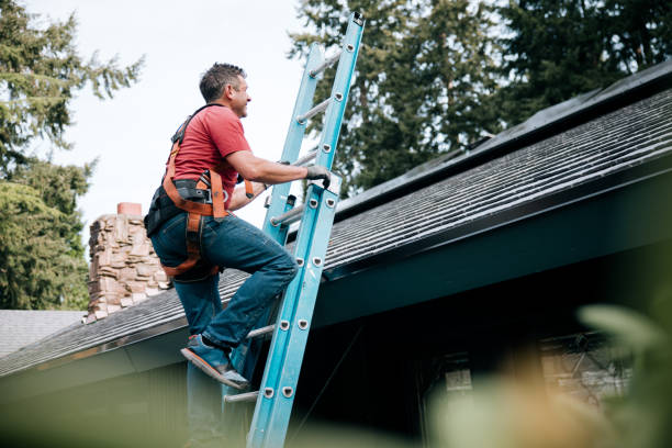 Best Rubber Roofing (EPDM, TPO)  in Wyoming, DE